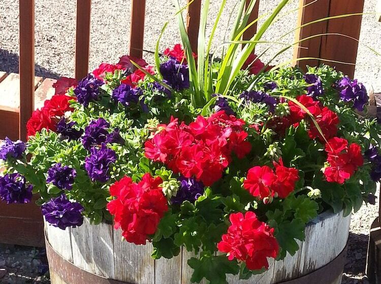 호텔 Sawin  Logs Inn