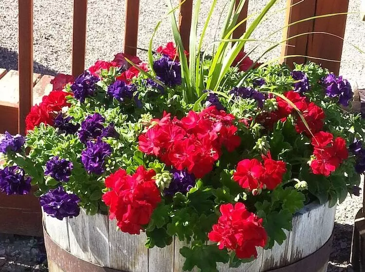 Hotelli Sawin  Logs Inn