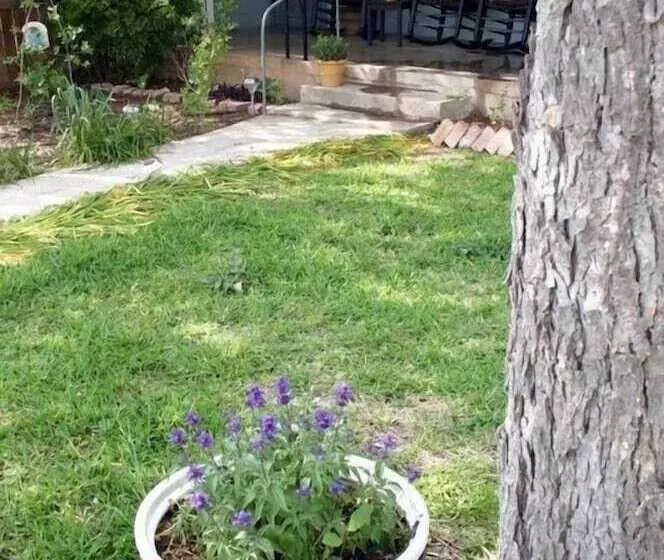 Hotelli The B&b S Of Monarc Ranch