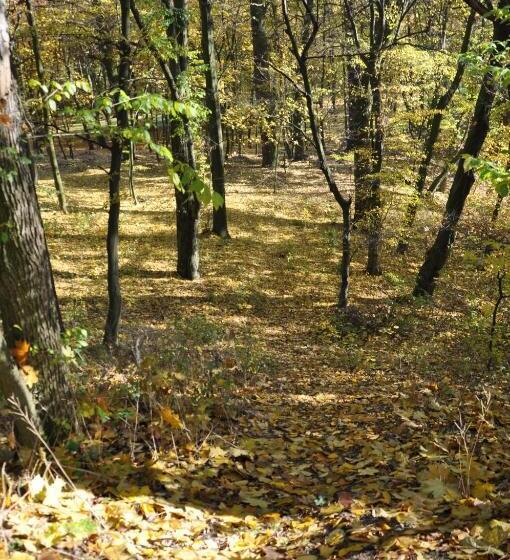 בית מלון כפרי Viwaldi