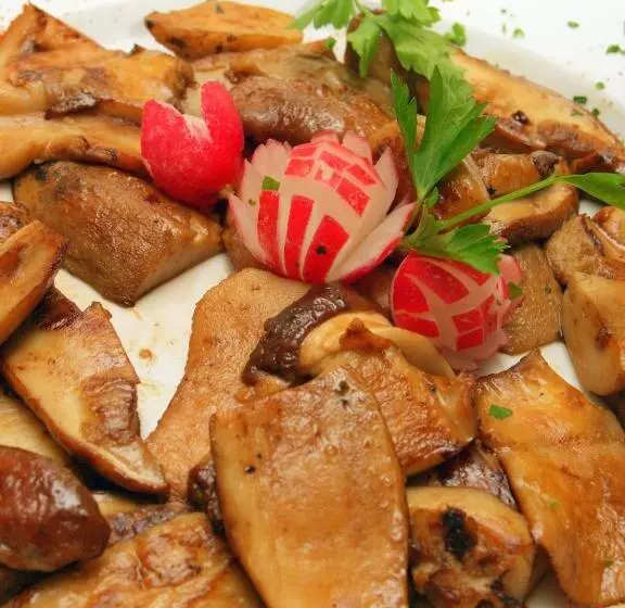 Hotelli Bitoraj Fužine