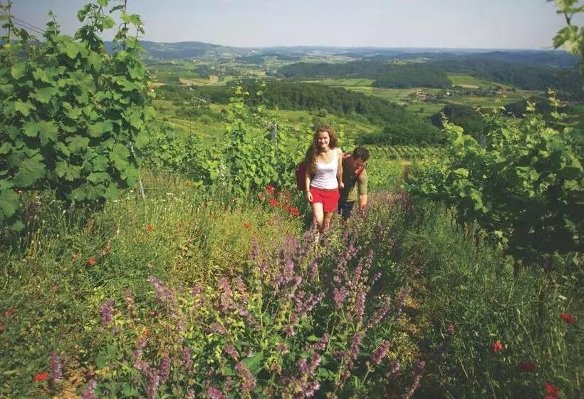 Hotelli Rooms Bolfan Vinski Vrh