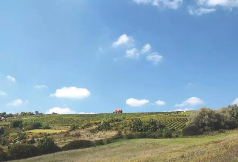 Hotelli Rooms Bolfan Vinski Vrh