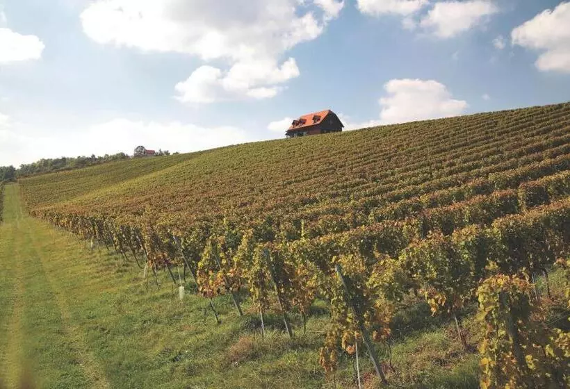 Hotelli Rooms Bolfan Vinski Vrh