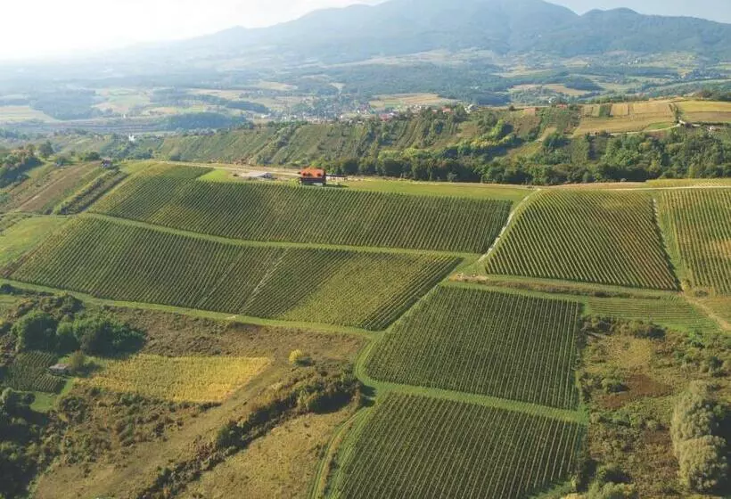 Hotelli Rooms Bolfan Vinski Vrh