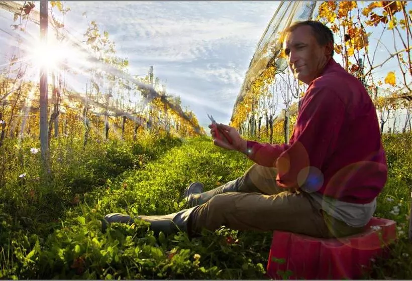 Hotelli Rooms Bolfan Vinski Vrh