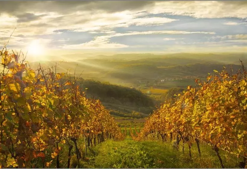 Hotelli Rooms Bolfan Vinski Vrh