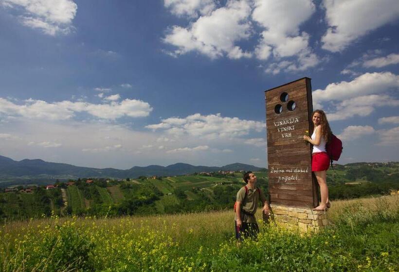 בית מלון כפרי Rooms Bolfan Vinski Vrh