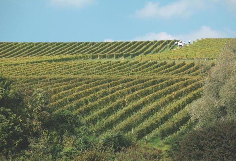 בית מלון כפרי Rooms Bolfan Vinski Vrh