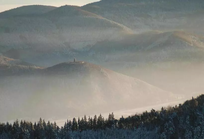Bed and Breakfast Cottage 1956   Maison D Hôtes