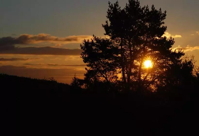 Bed and Breakfast Cottage 1956   Maison D Hôtes