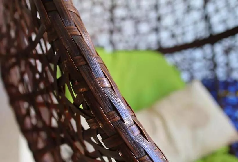 Coqui Del Mar   Lgbtq Hotel   Adults Only