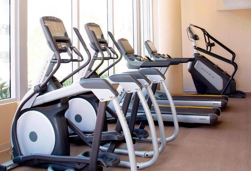 Ac Hotel By Marriott Miami Beach