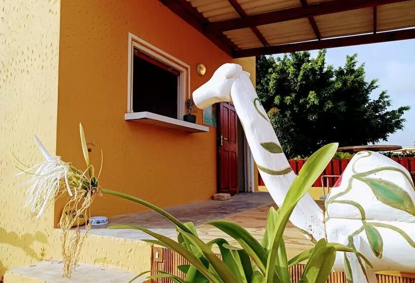 هتل Dive Hut   Boutique Apartments
