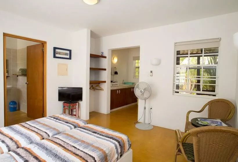 هتل Dive Hut   Boutique Apartments