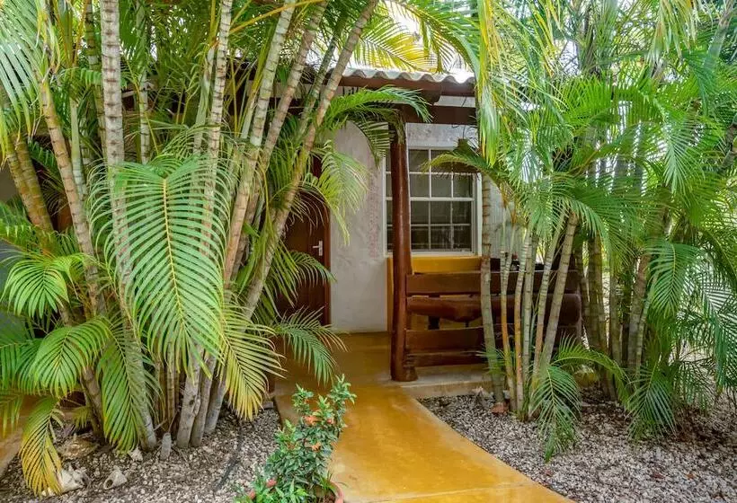 هتل Dive Hut   Boutique Apartments