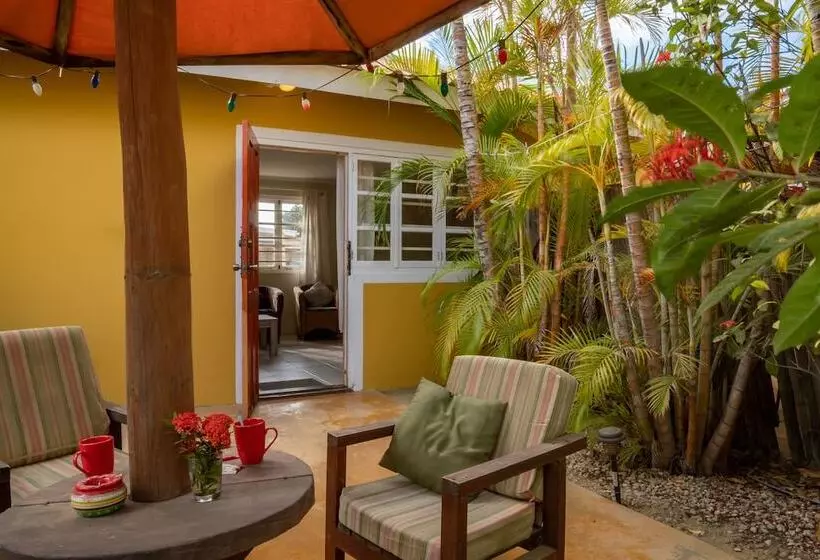 هتل Dive Hut   Boutique Apartments