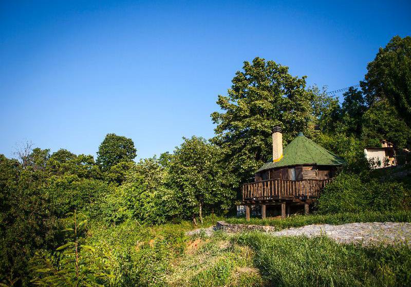 Dohos Hotel Experience