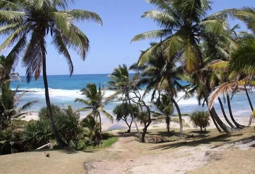 هتل Ecolodge Riake Resort & Villa