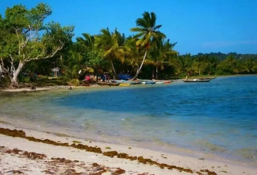 هتل Ecolodge Riake Resort & Villa