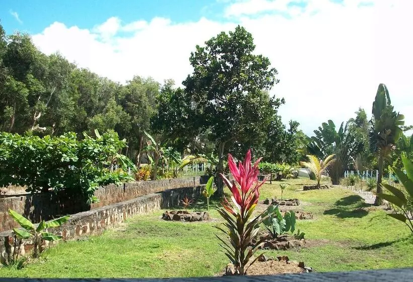 هتل Ecolodge Riake Resort & Villa