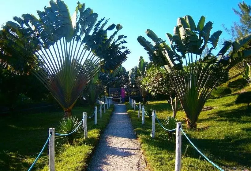 هتل Ecolodge Riake Resort & Villa