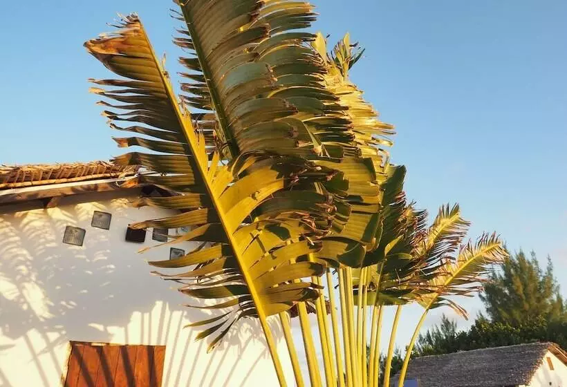 هتل Ecolodge Riake Resort & Villa