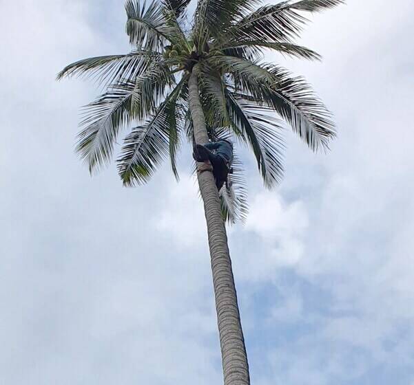 ホテル Green Canyon Resort