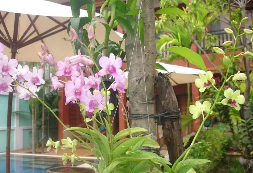 ホテル Jasmine Family Hostel