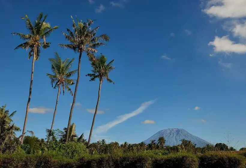 酒店 Jasri Bay Hideaway