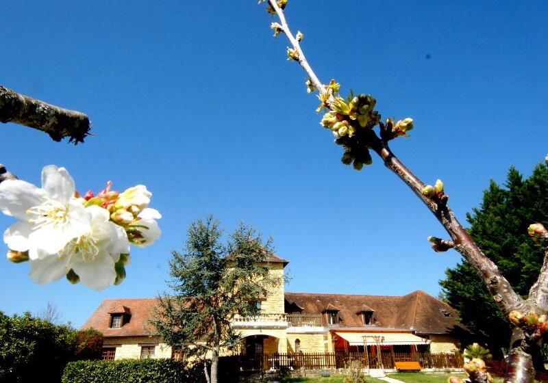 酒店 Hôtel Restaurant Les Collines