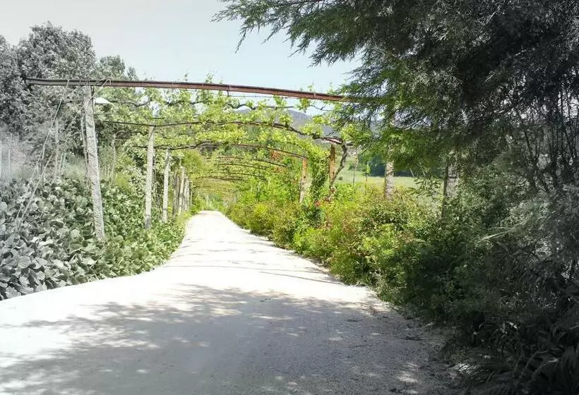 酒店 Lousada Country