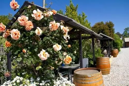 Beechworth On Bridge Motel