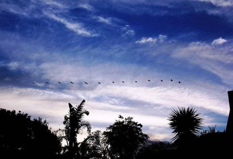 Пансион Casa Mia Guesthouse