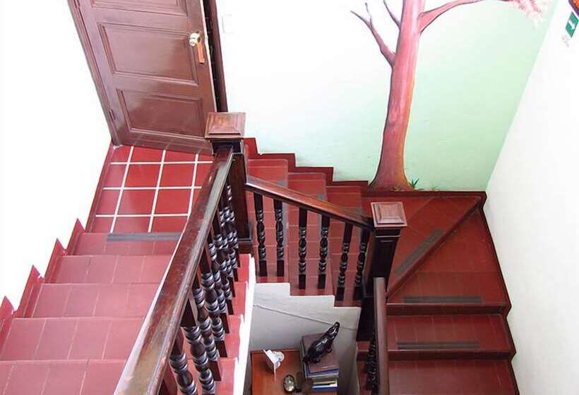 هتل Villa Serena Flor Blanca