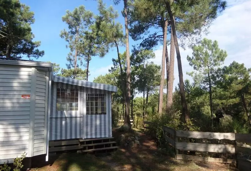 Otel Boost Locamobil 17 Bonne Anse Plage