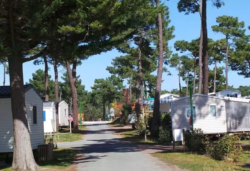 Otel Boost Locamobil 17 Bonne Anse Plage