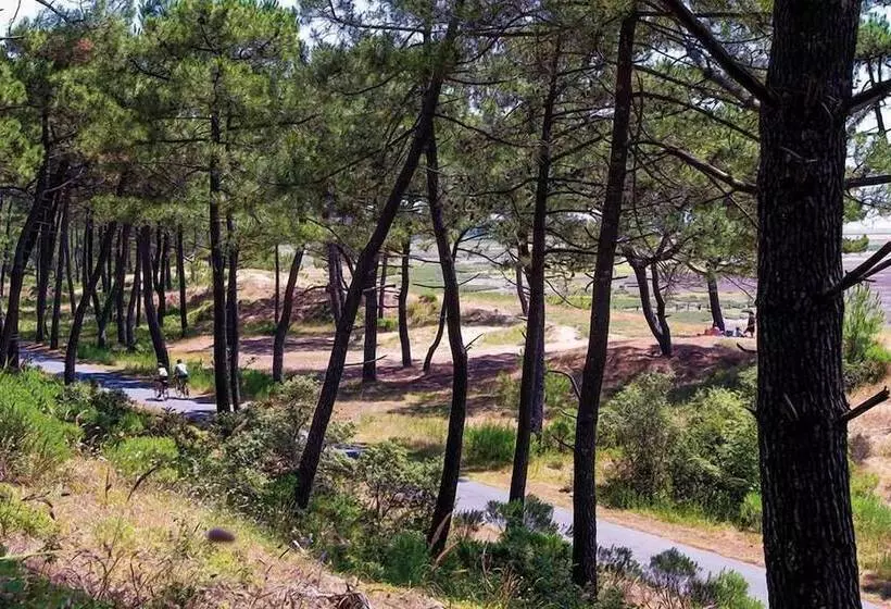 Otel Boost Locamobil 17 Bonne Anse Plage