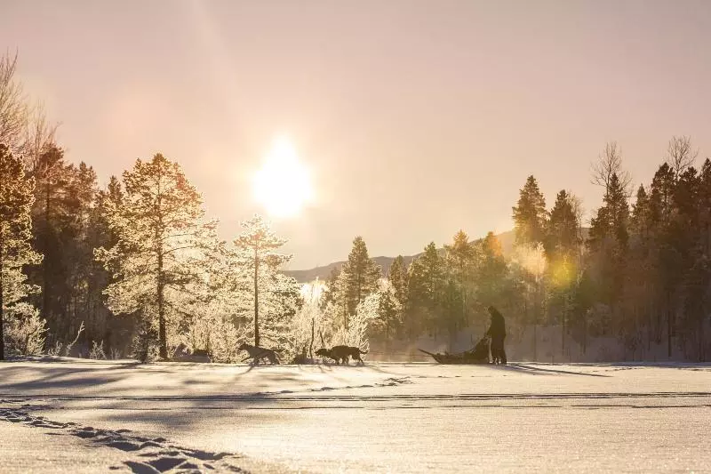 Отель Malangen Resort