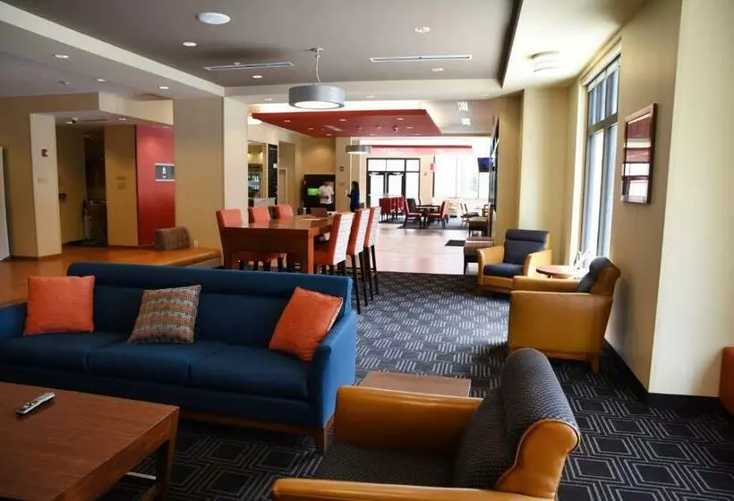 Hotel Towneplace Suites By Marriott Lawrence Downtown