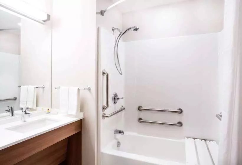 Microtel Inn & Suites By Wyndham Vernal/naples