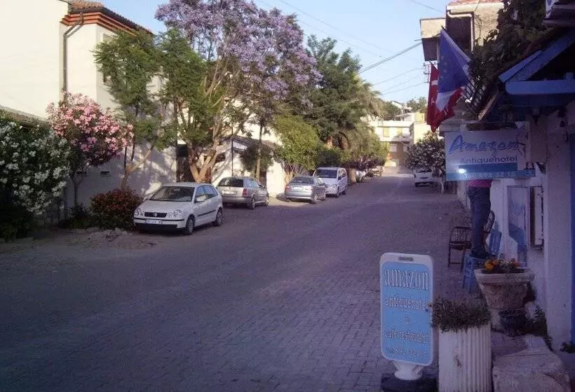 פנסיון Amazon Antique