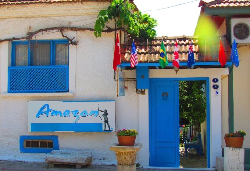 بنسيون Amazon Antique