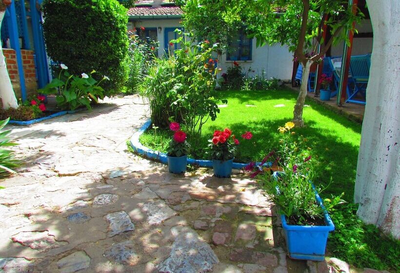 بنسيون Amazon Antique