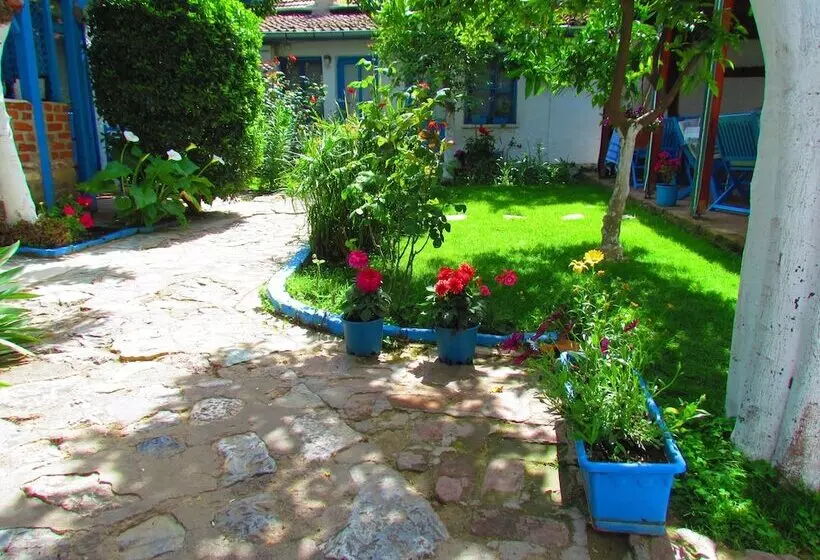 פנסיון Amazon Antique