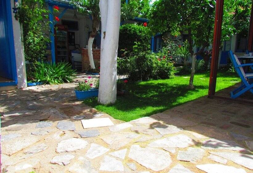 بنسيون Amazon Antique