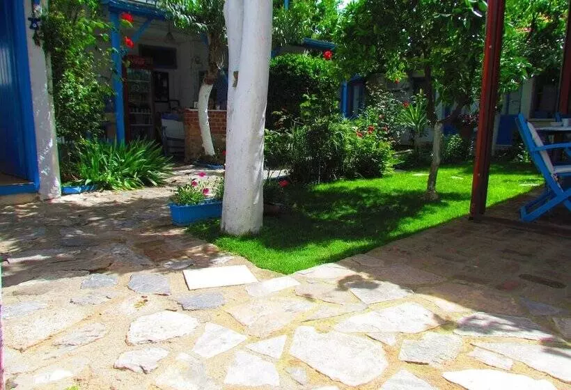 פנסיון Amazon Antique