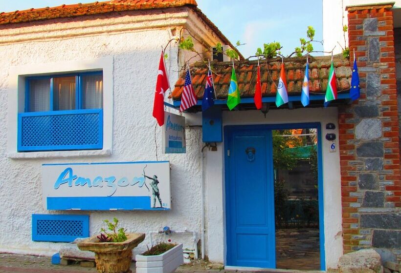 بنسيون Amazon Antique