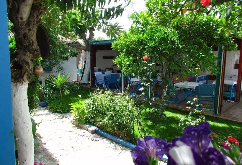 פנסיון Amazon Antique