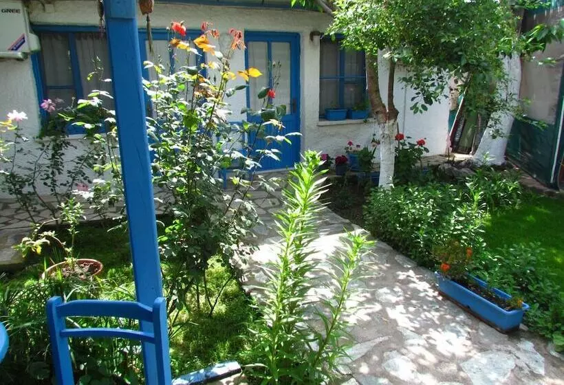 פנסיון Amazon Antique